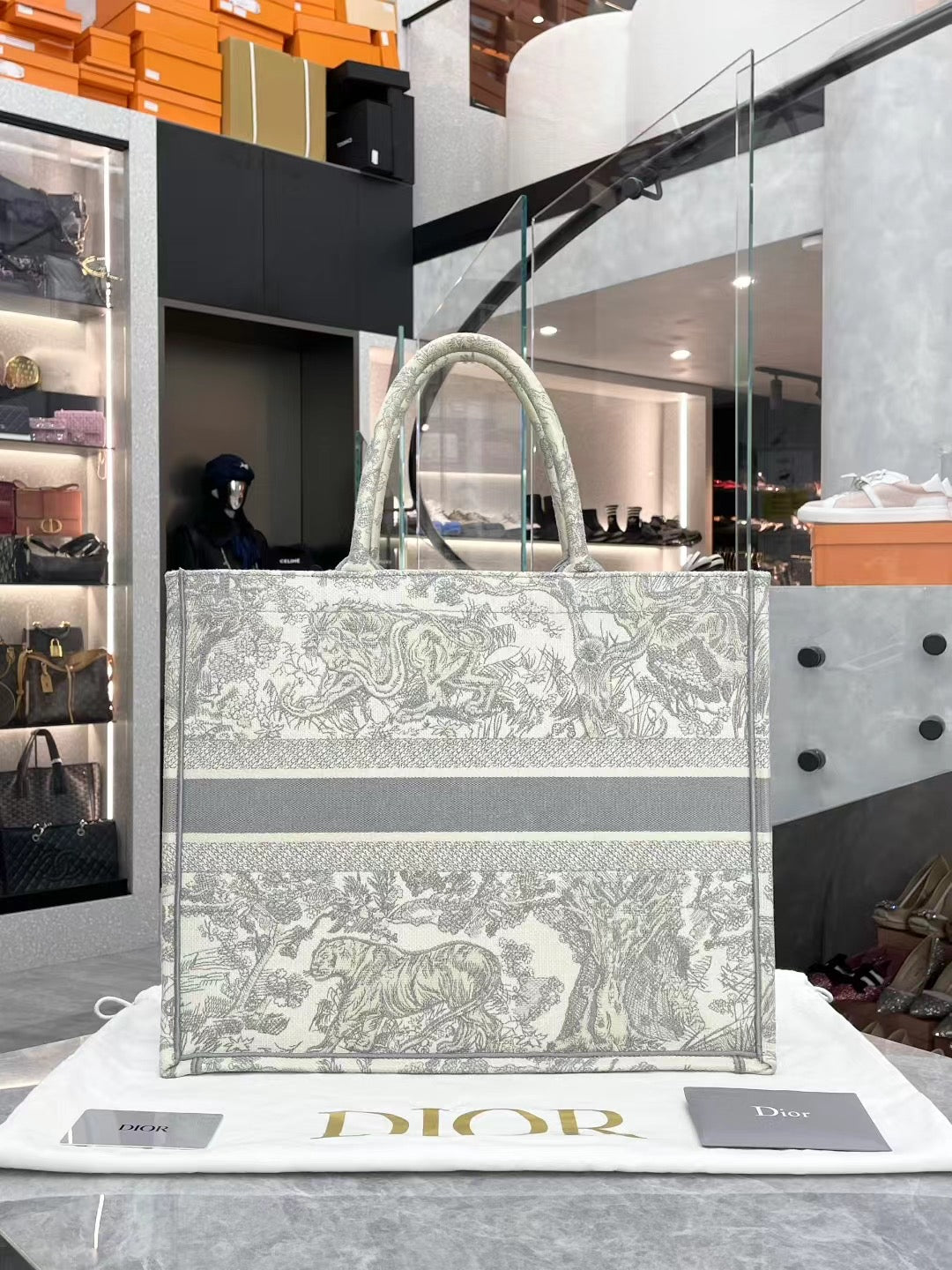 Christian Dior Medium Dior Book Tote