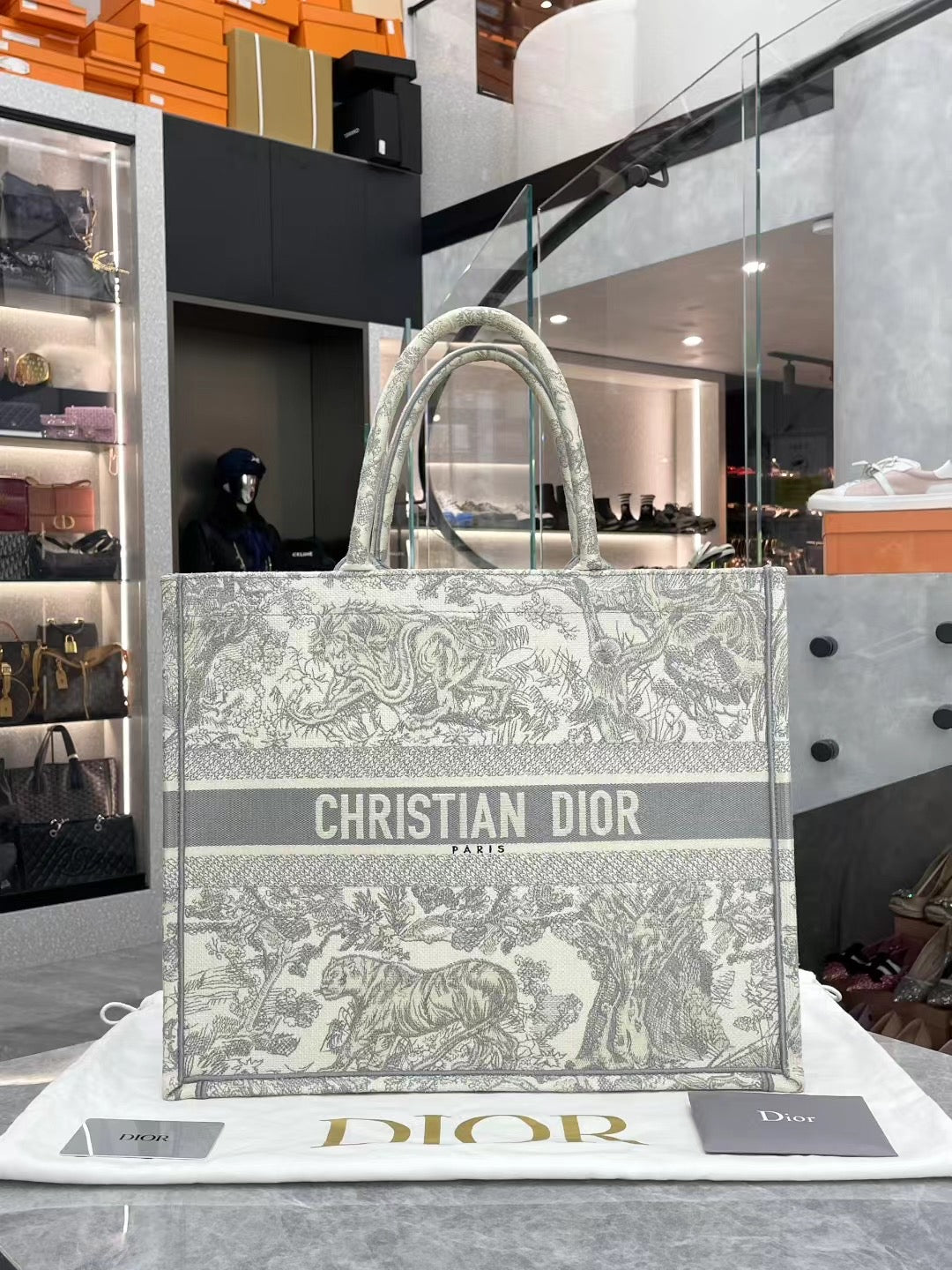 Christian Dior Medium Dior Book Tote