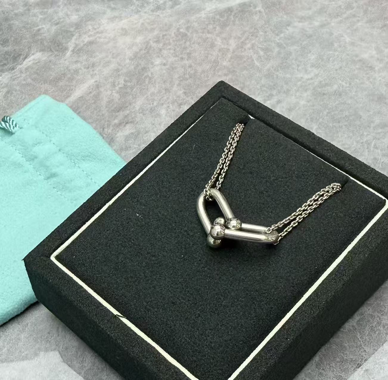 Tiffany & Co. HardWear Double Link pendant necklace crafted in sterling silver