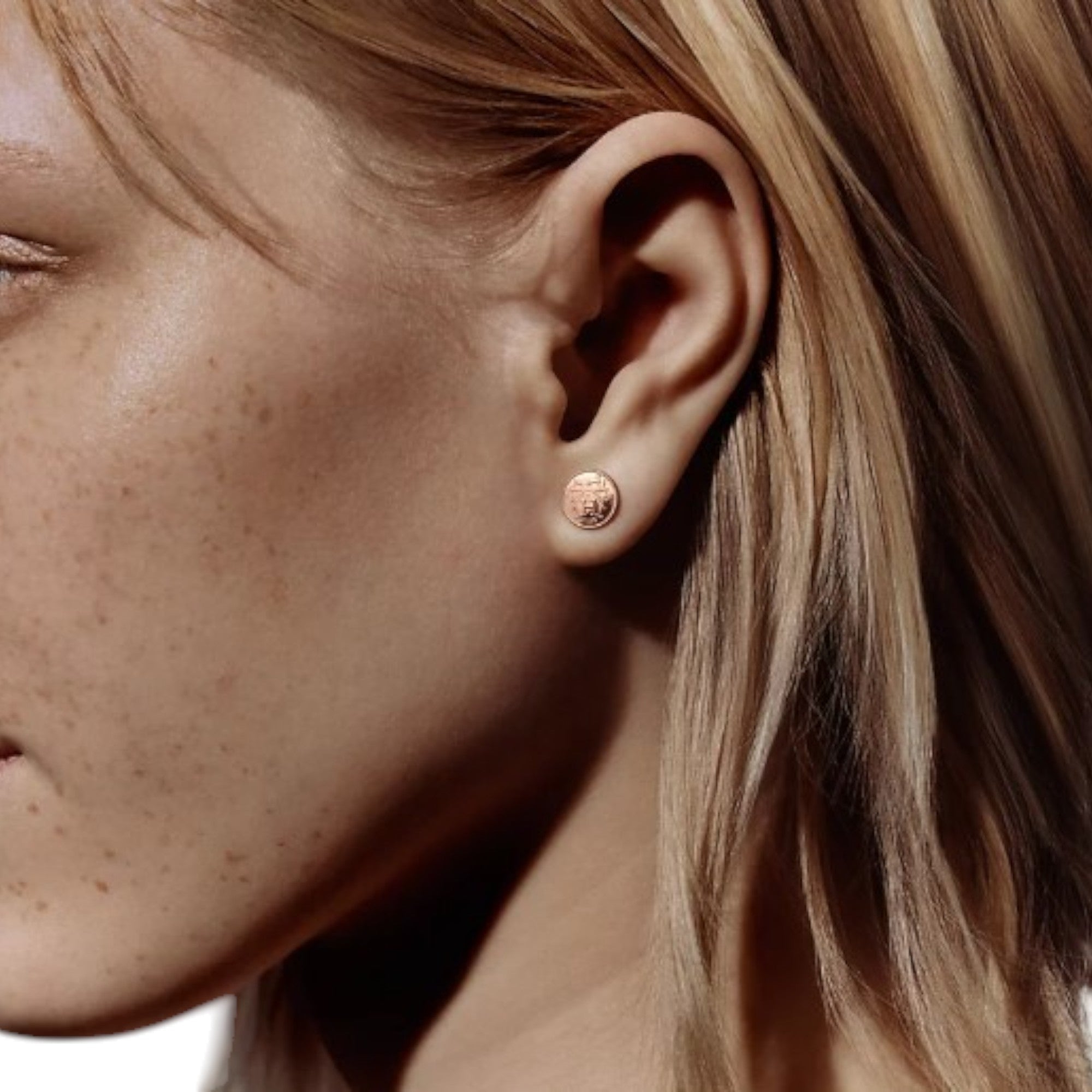 Hermès Ex-Libris earrings