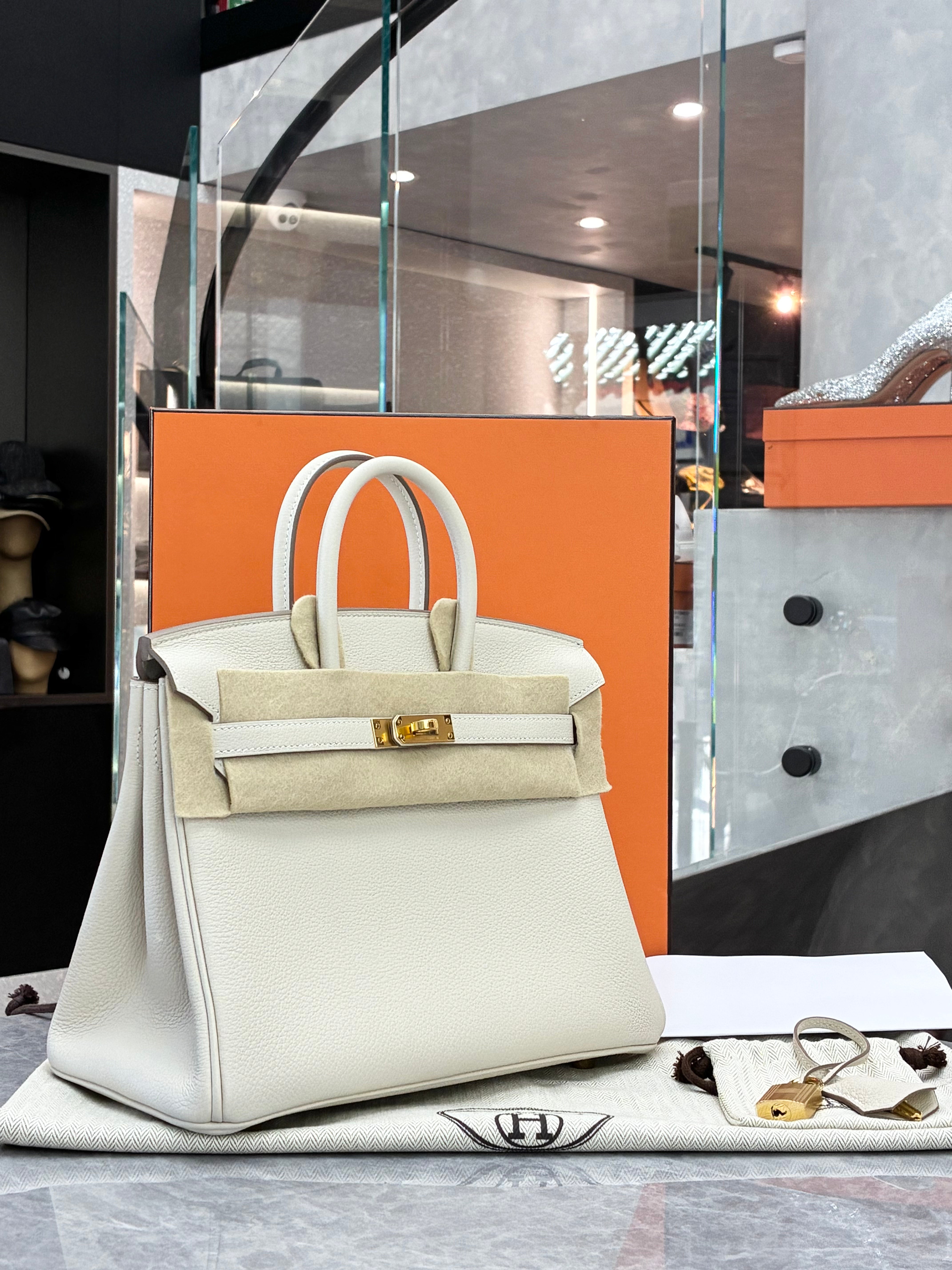 Hermès Birkin 25 handbag in Craie (chalk white)