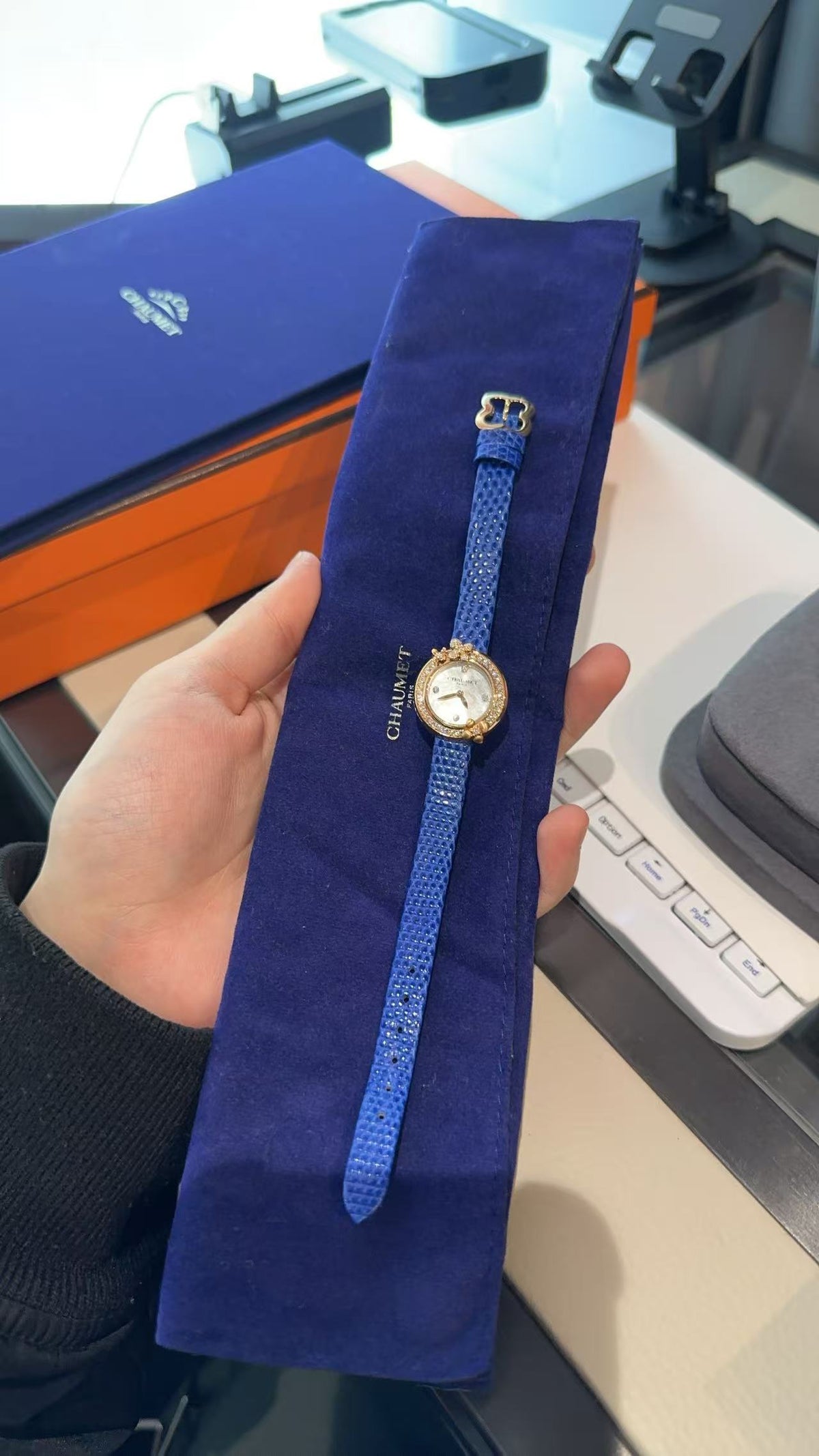 Chaumet Hortensia Eden watch featuring a bright blue textured strap and a gold-toned case