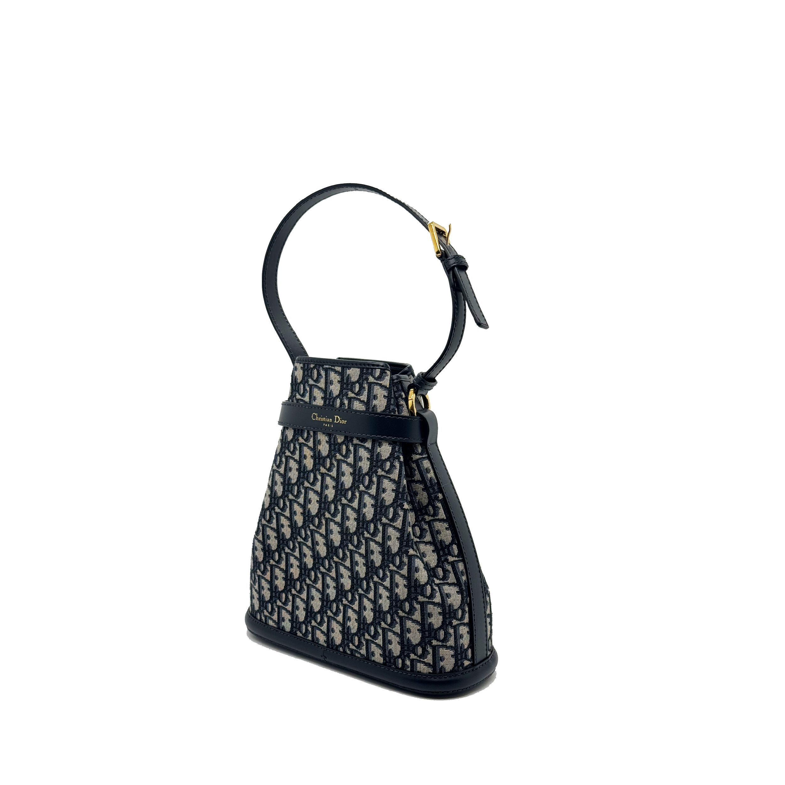 Dior Medium C'est Dior Bag Blue Jacquard