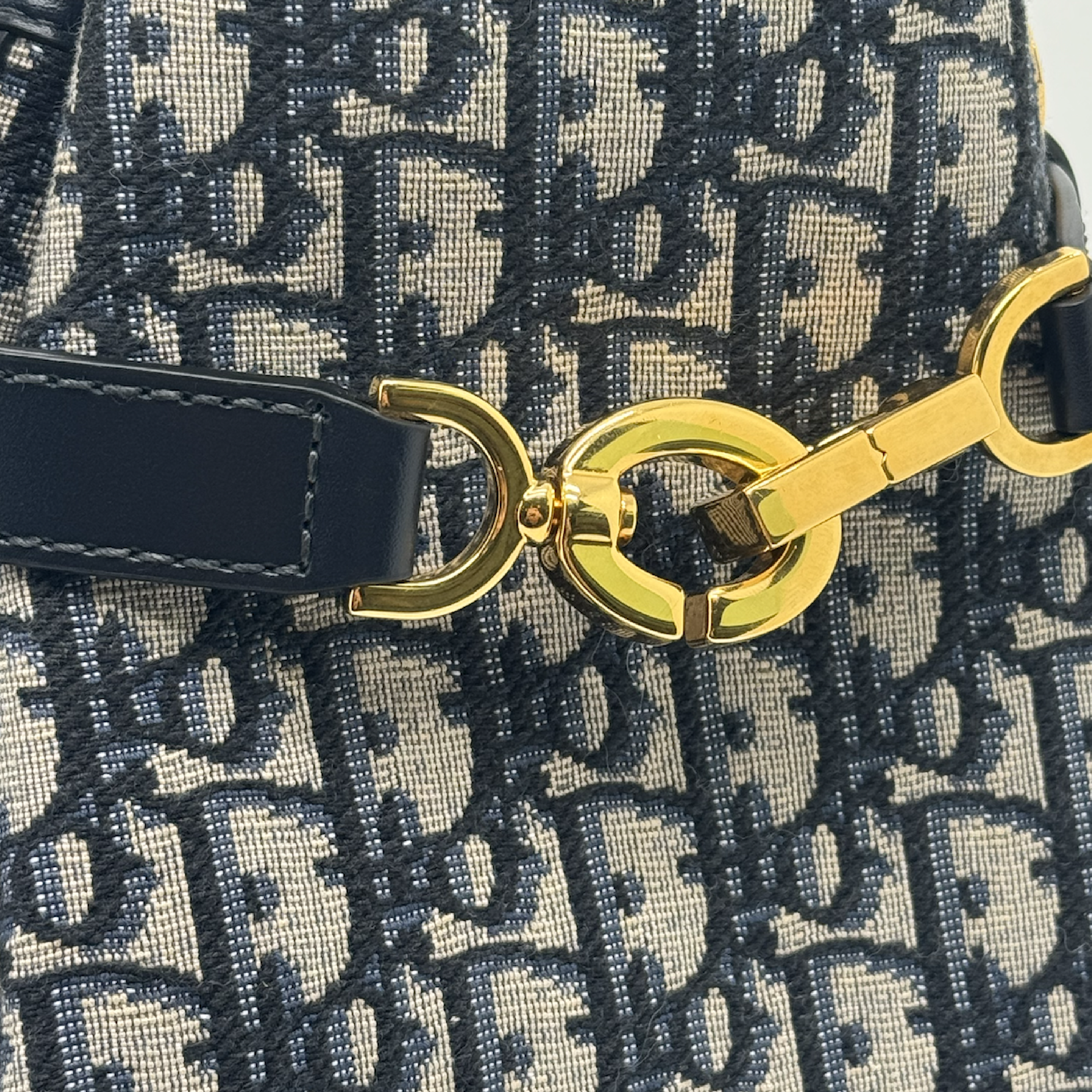 Dior Medium C'est Dior Bag Blue Jacquard