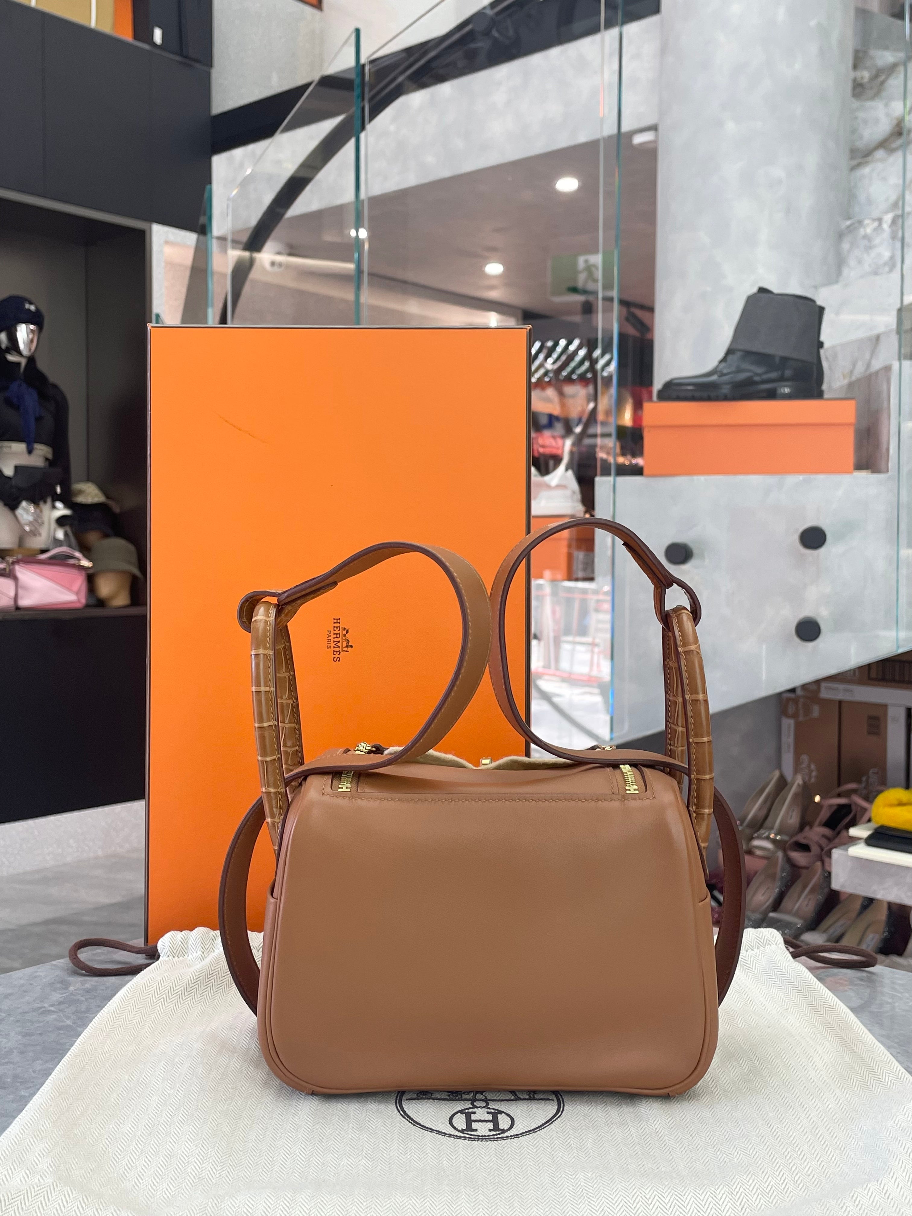 Hermes Mini Lindy Bag touch Gold GHW Swift/ Alligator matte Leather B Stamp