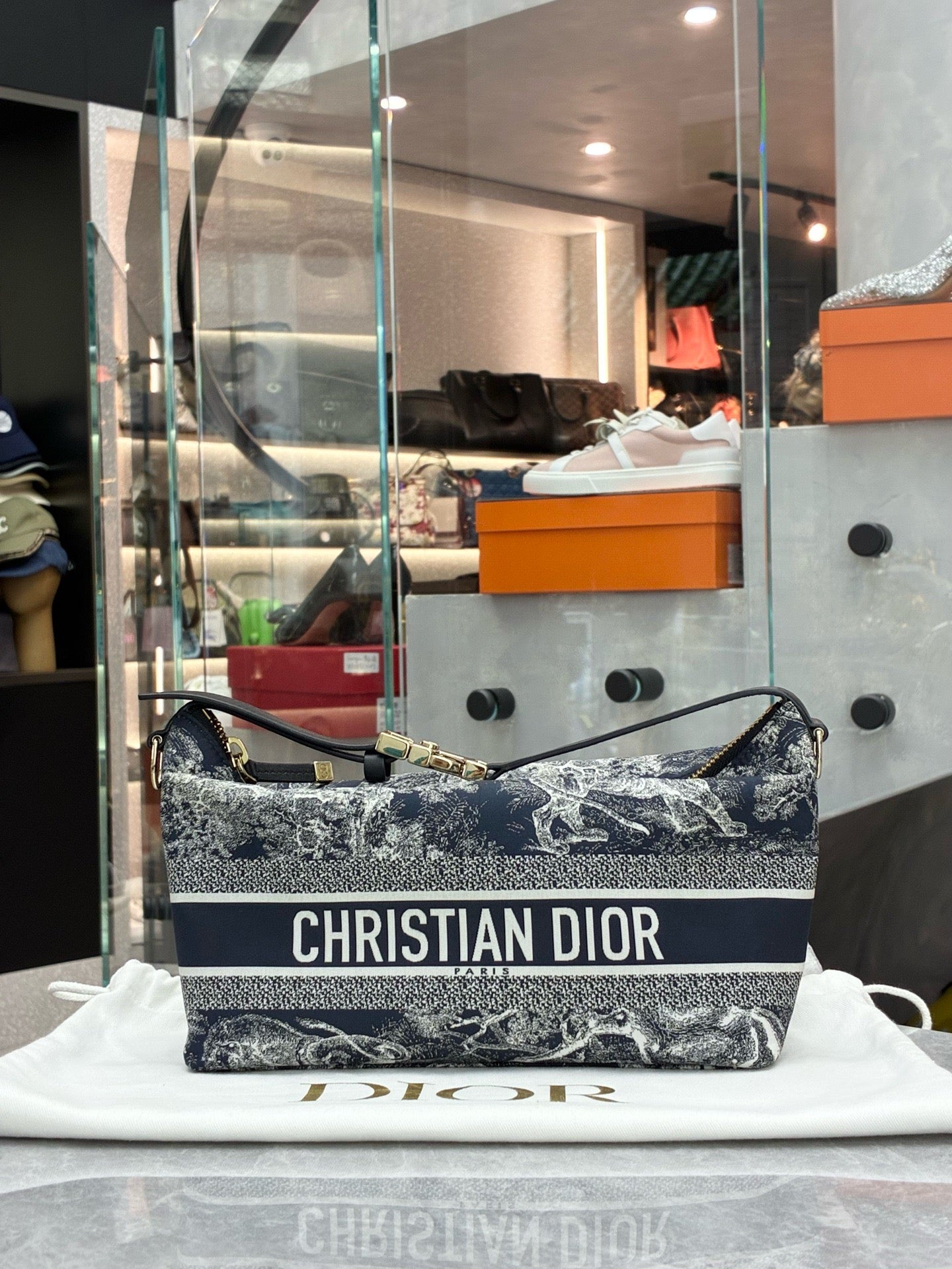 Dior Medium Diortravel Nomad Pouch in blue and white Toile de Jouy Reverse technical fabric with gold-tone hardware