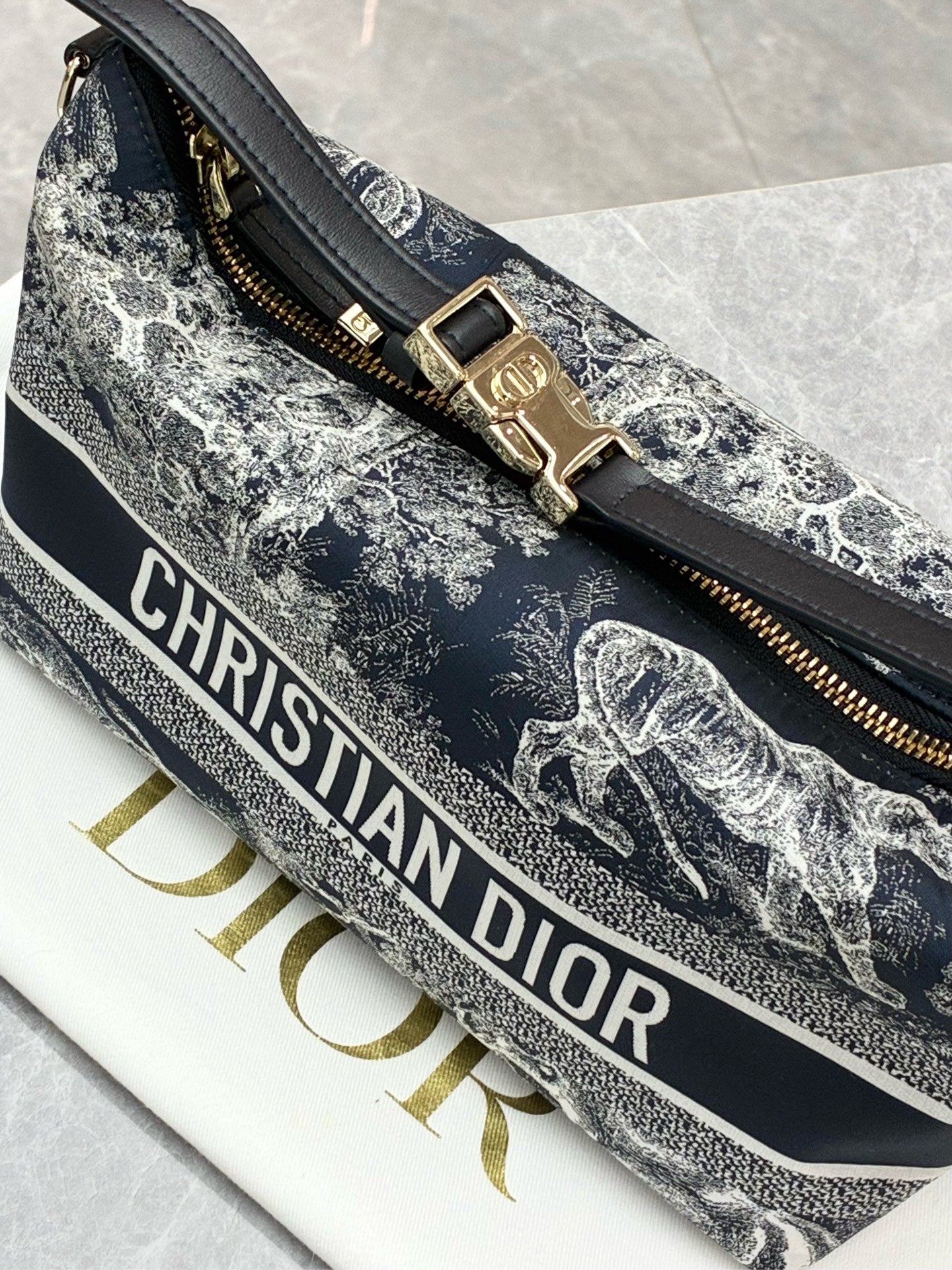 Dior Medium Diortravel Nomad Pouch in blue and white Toile de Jouy Reverse technical fabric with gold-tone hardware