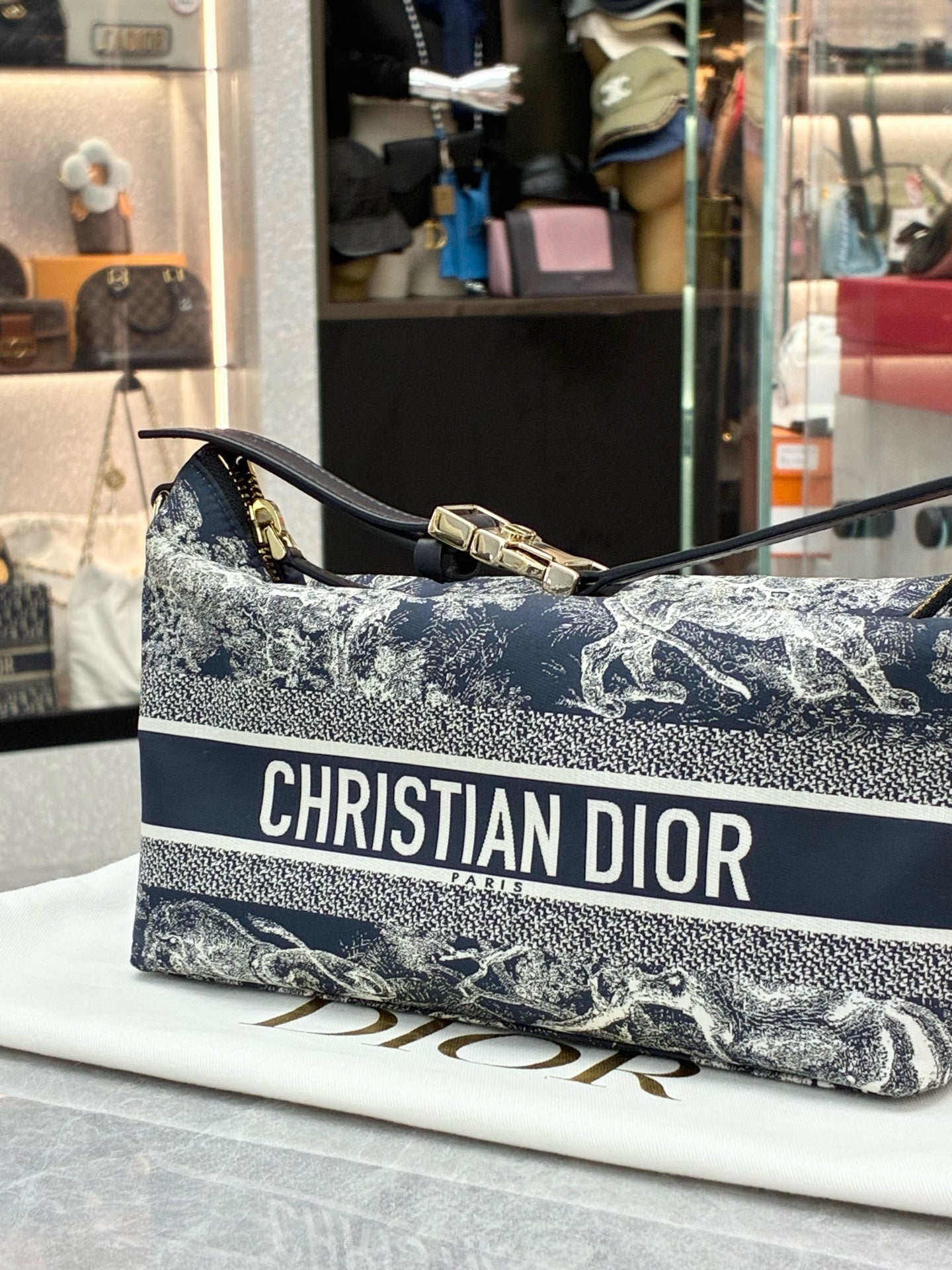 Dior Medium Diortravel Nomad Pouch in blue and white Toile de Jouy Reverse technical fabric with gold-tone hardware