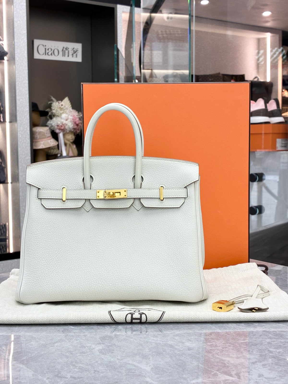 HERMÈS Birkin 25 – Gris Perle Togo Leather with Gold-Tone Hardware, W Stamp, Good Pre-Owned
