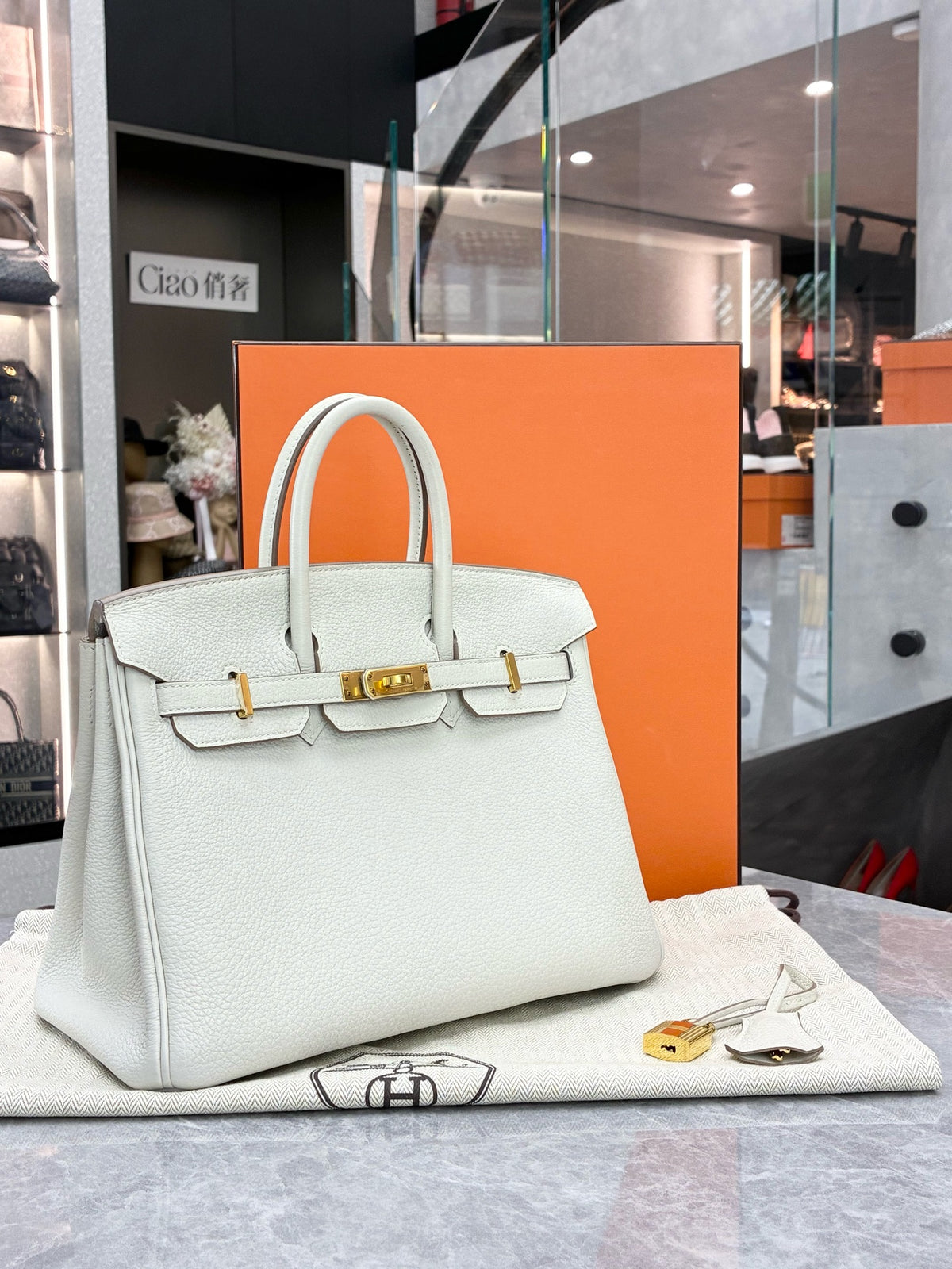 HERMÈS Birkin 25 – Gris Perle Togo Leather with Gold-Tone Hardware, W Stamp, Good Pre-Owned