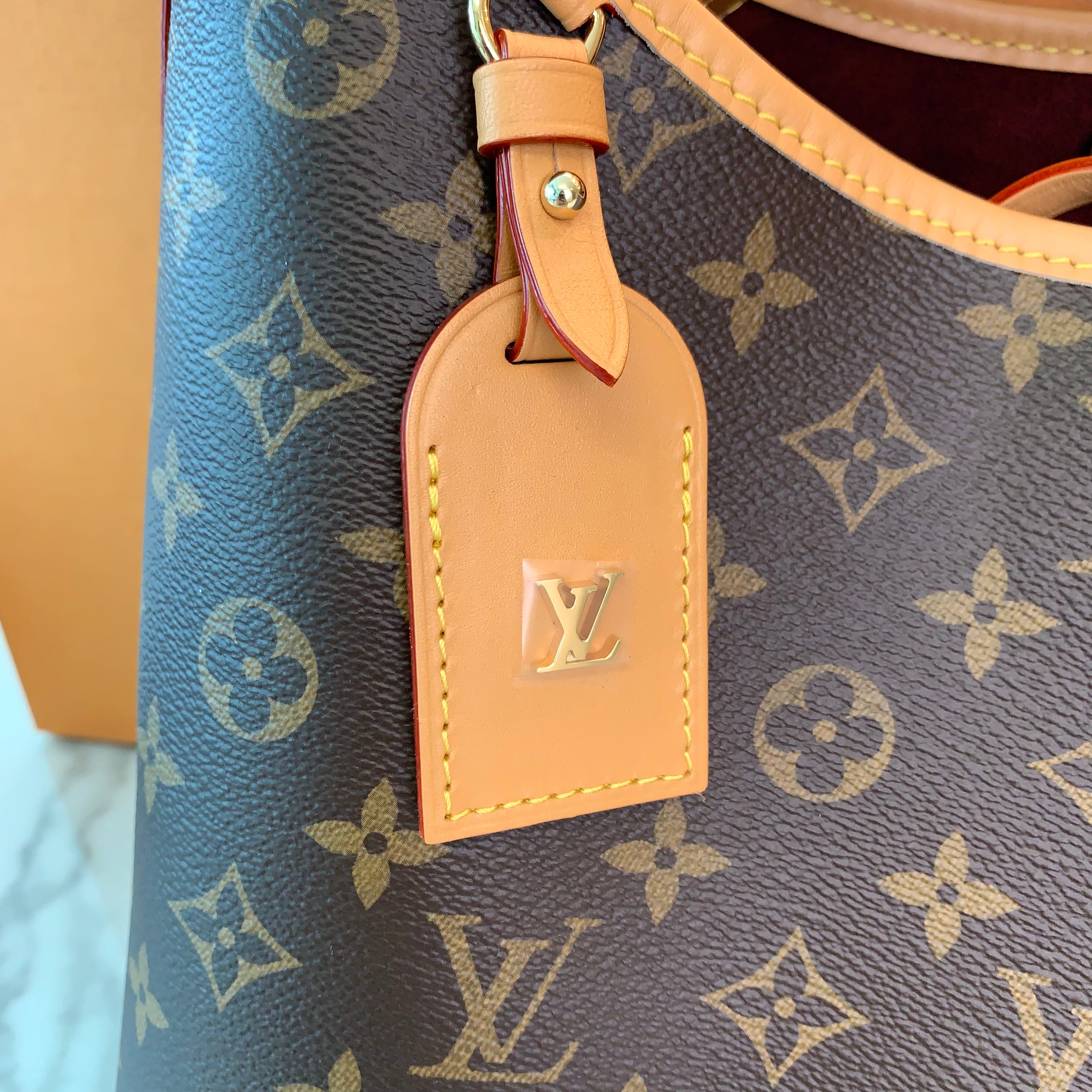 LOUIS VUITTON CarryAll PM Monogram Canvas