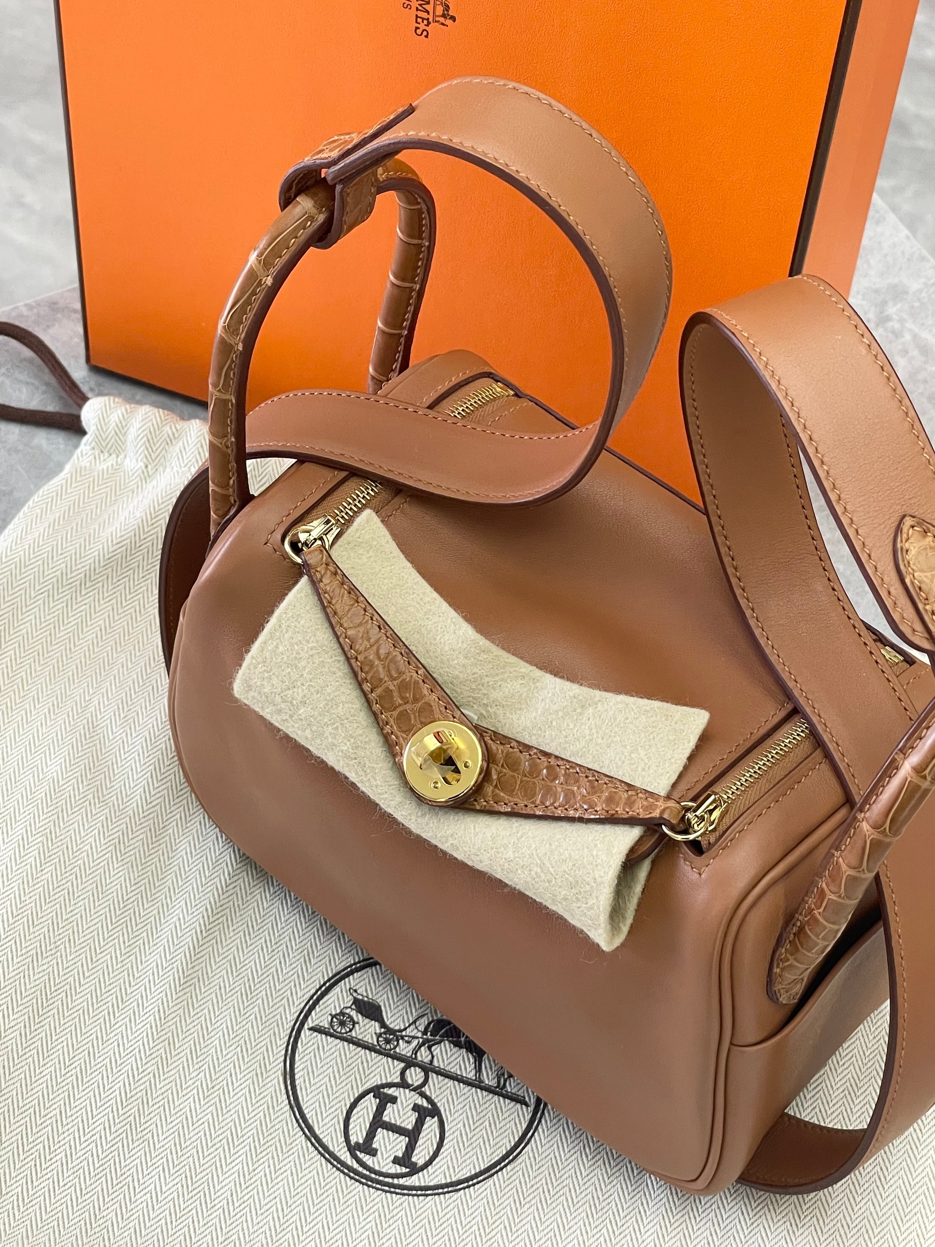 Hermes Mini Lindy Bag touch Gold GHW Swift/ Alligator matte Leather B Stamp