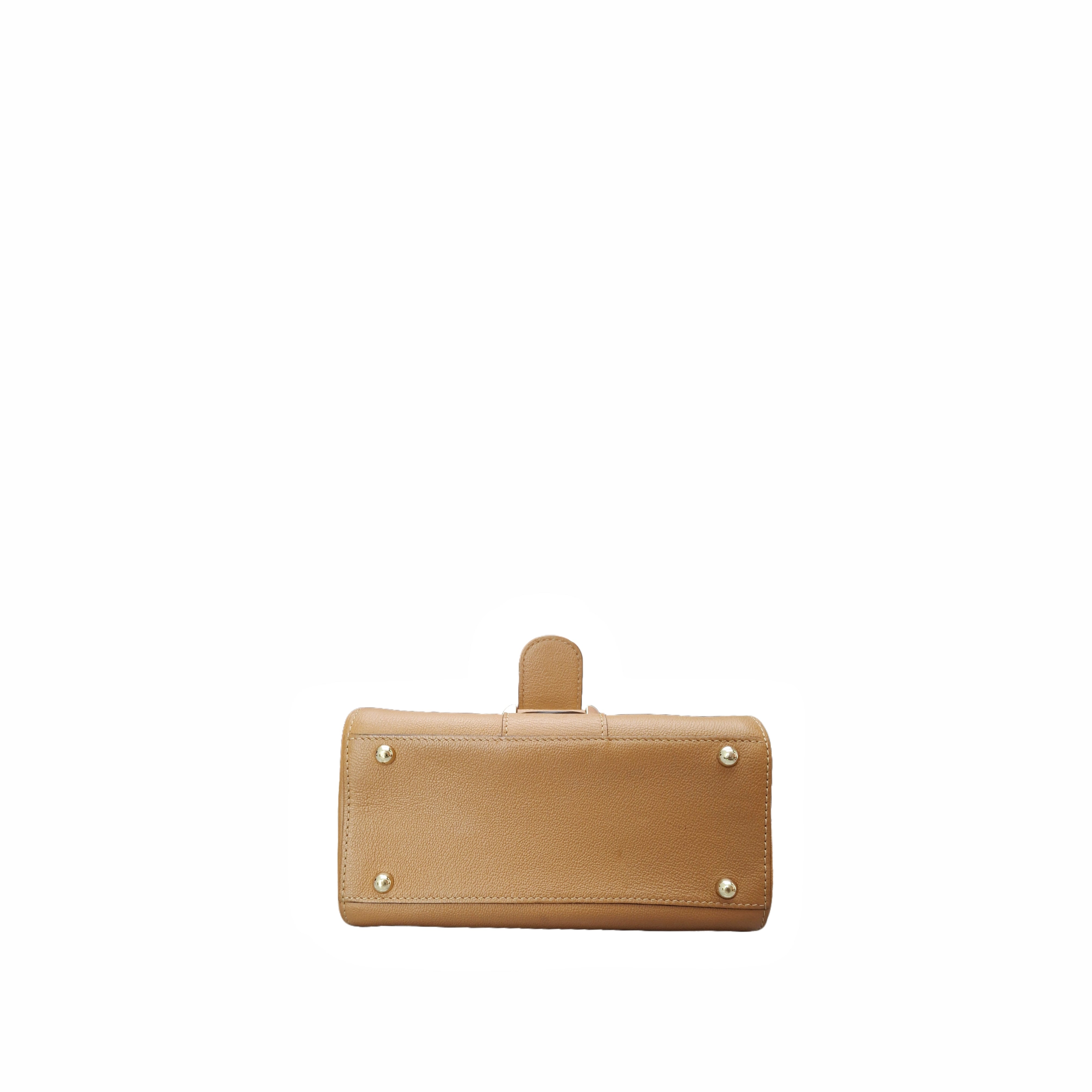 Delvaux Mini Brilliant Bag Box Calfskin in GHW Gold