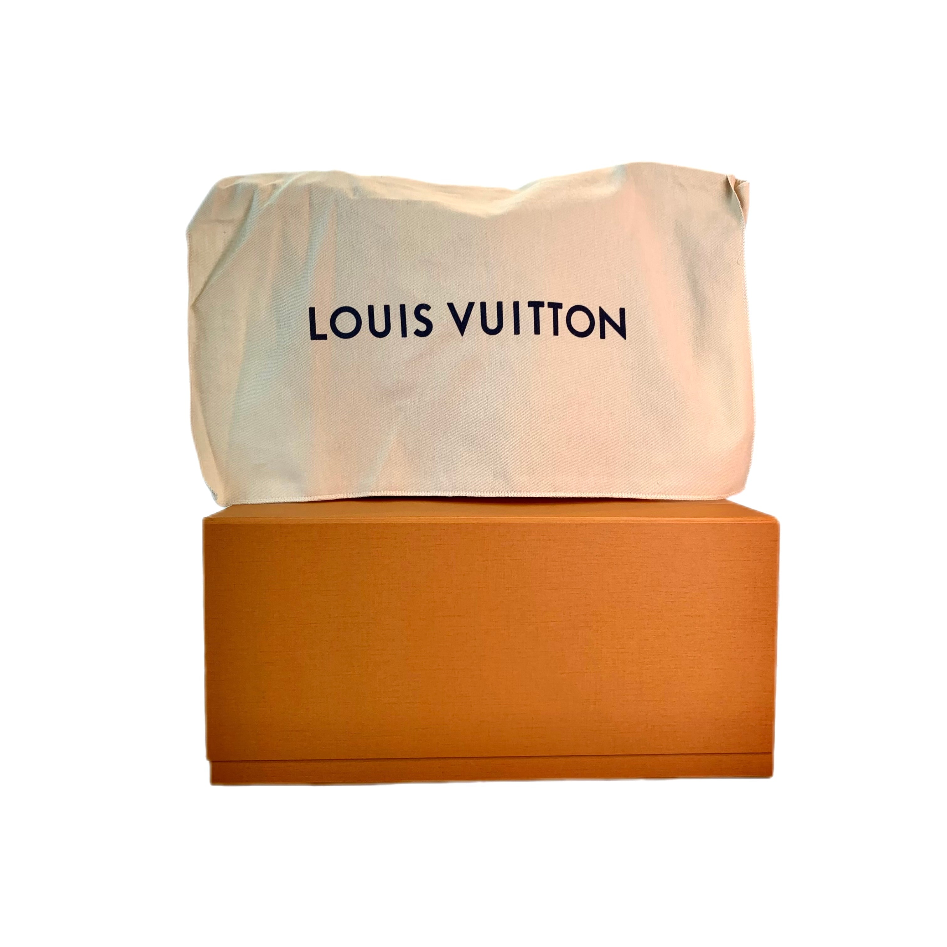 LOUIS VUITTON CarryAll PM Monogram Canvas