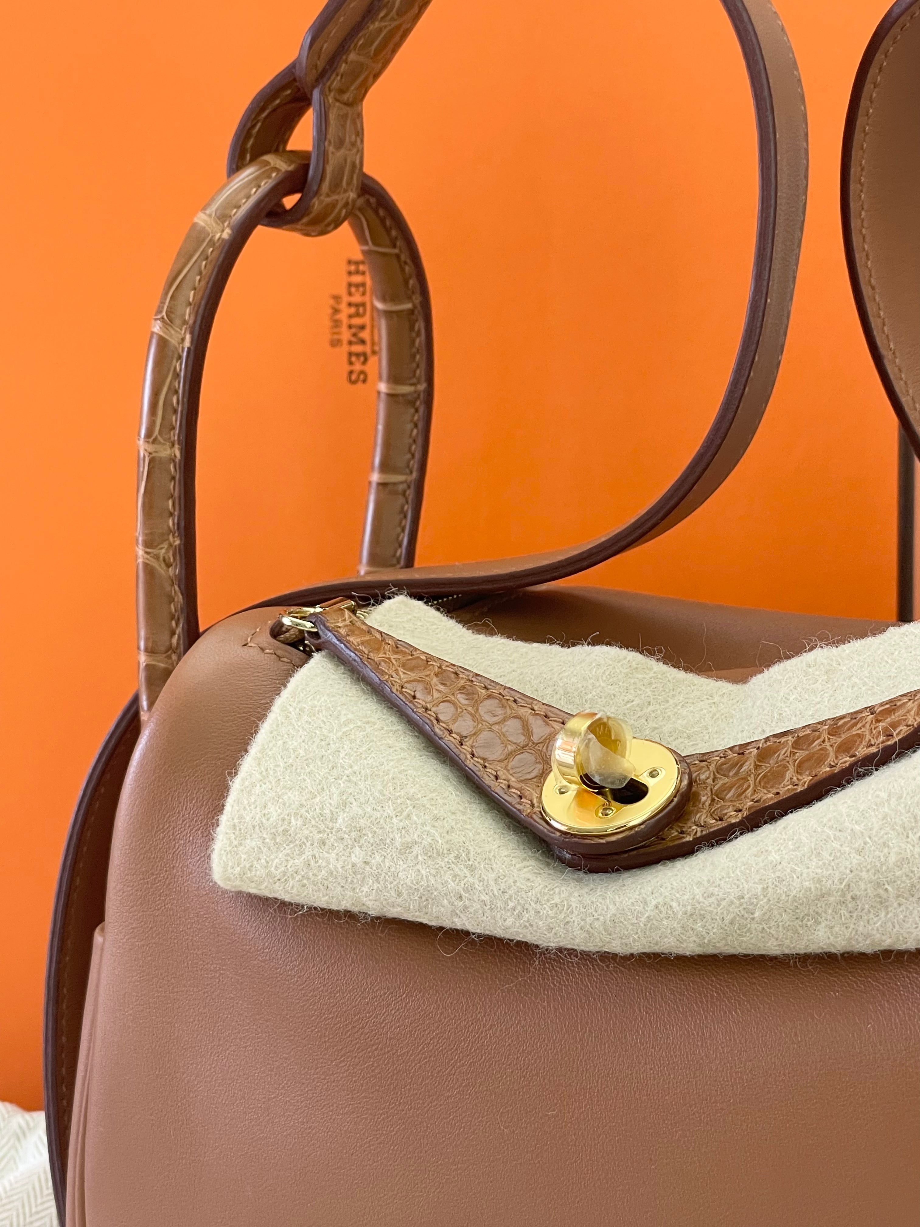 Hermes Mini Lindy Bag touch Gold GHW Swift/ Alligator matte Leather B Stamp