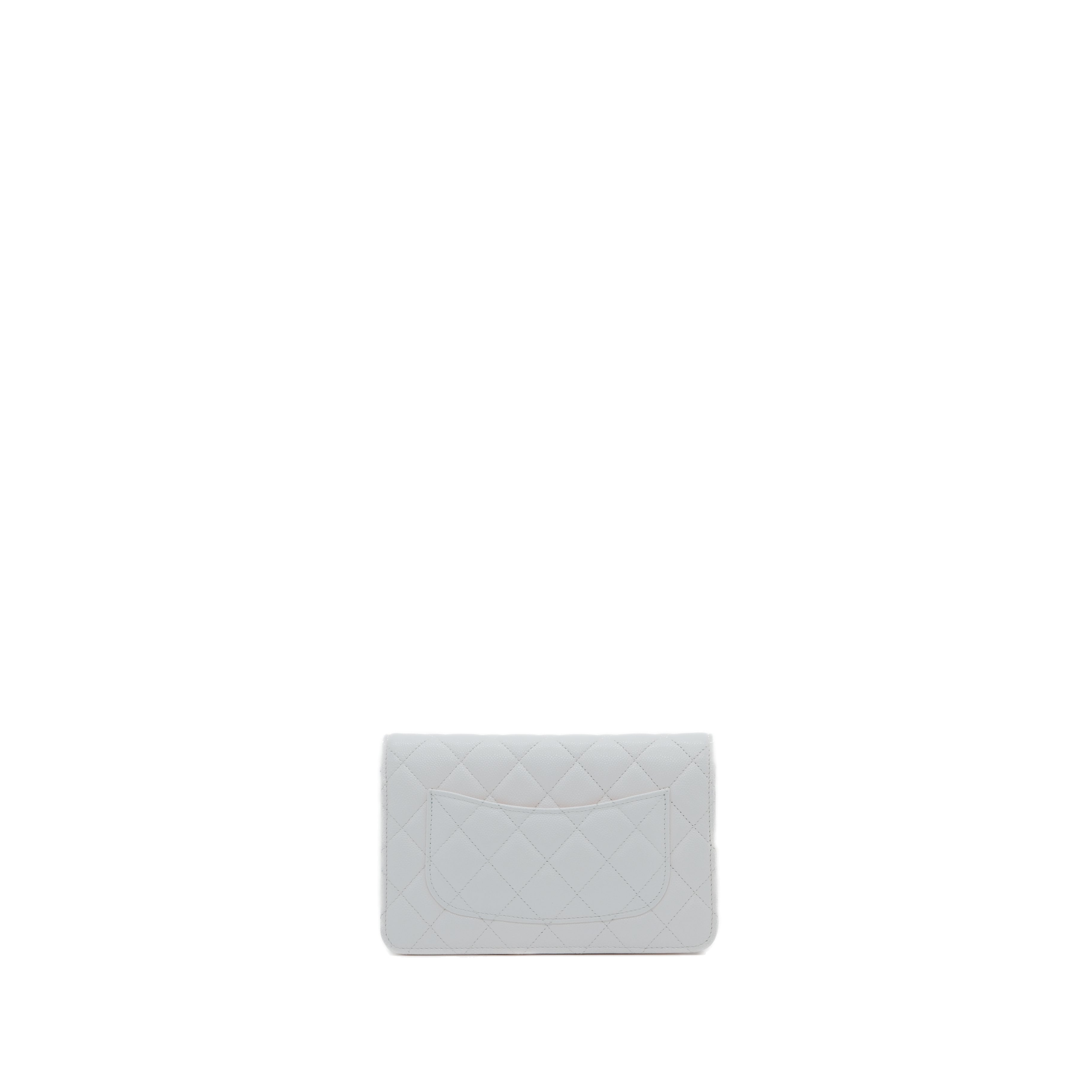 Chanel classic wallet on chain handbag SHW (white)