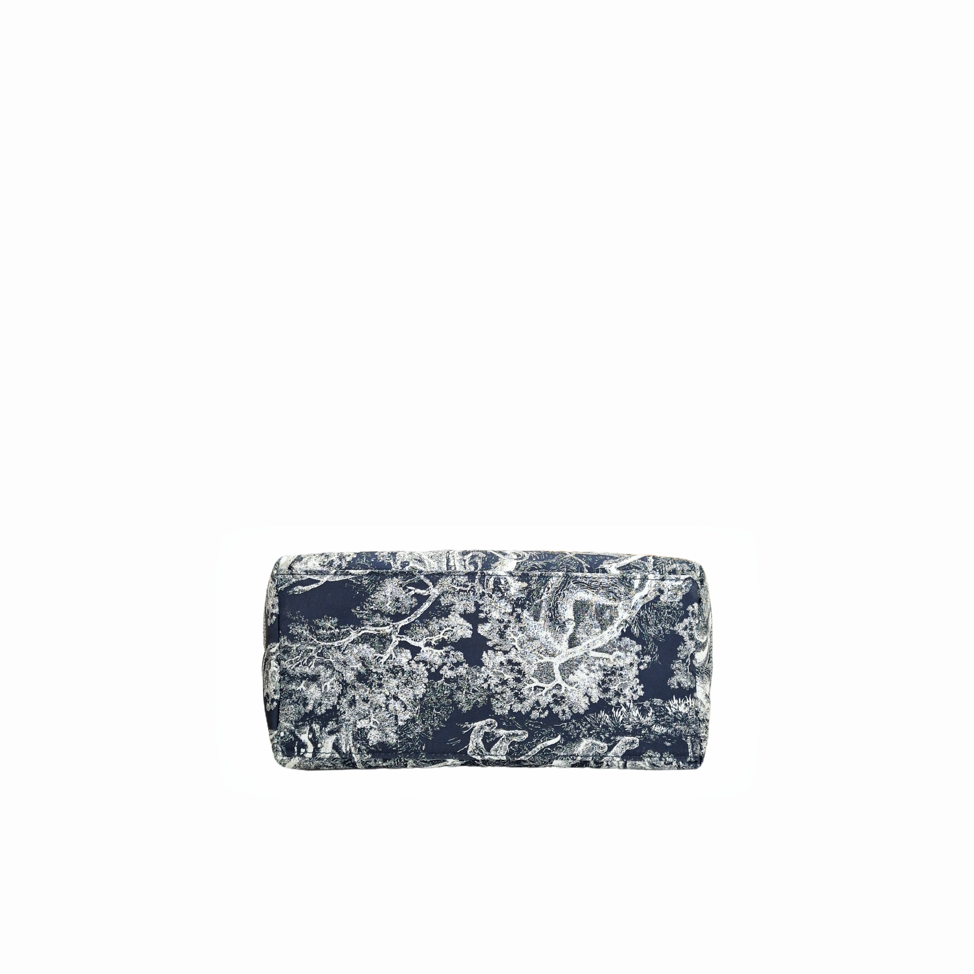 CHRISTIAN DIOR Medium DiorTravel Nomad Pouch (Blue)