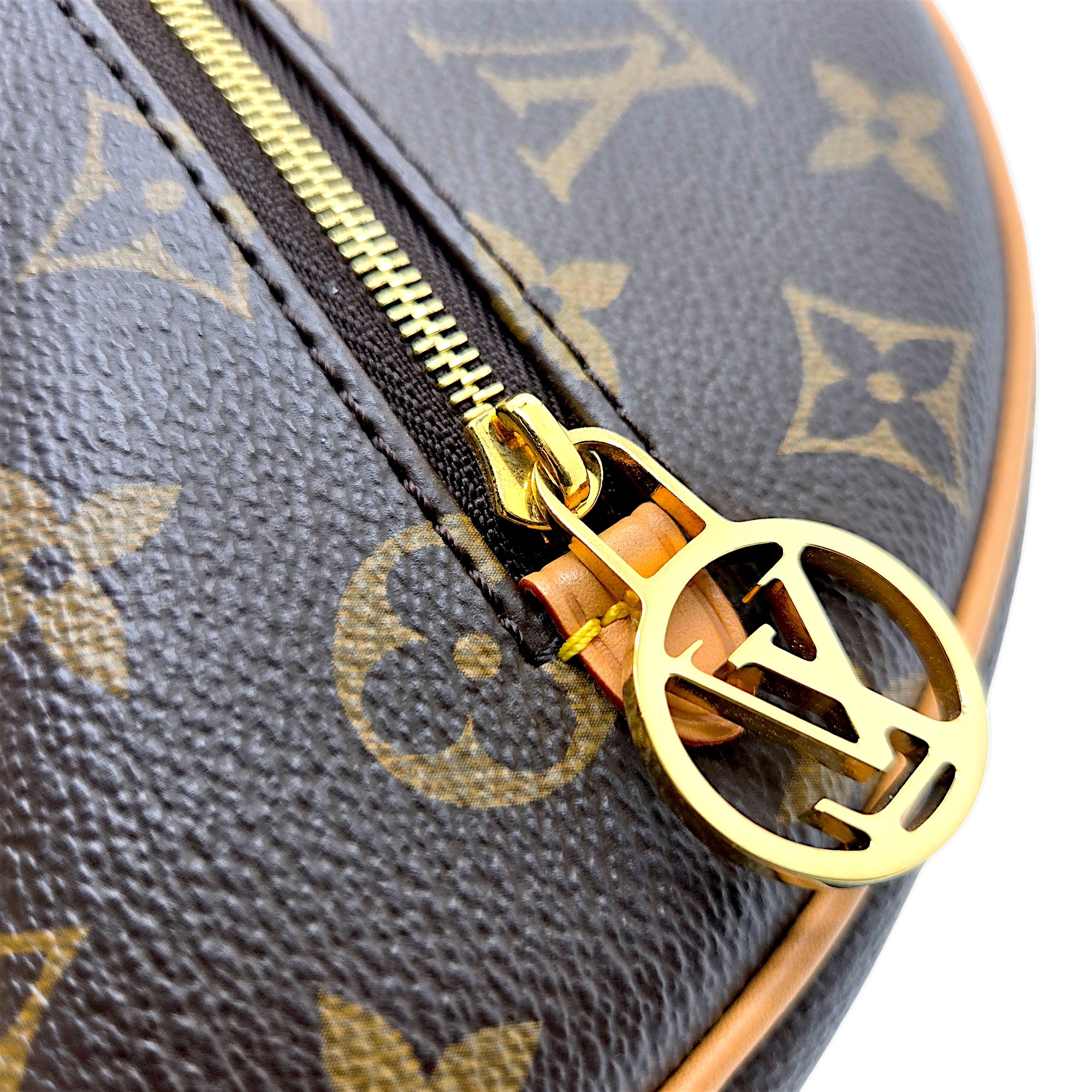 LOUIS VUITTON LOOP