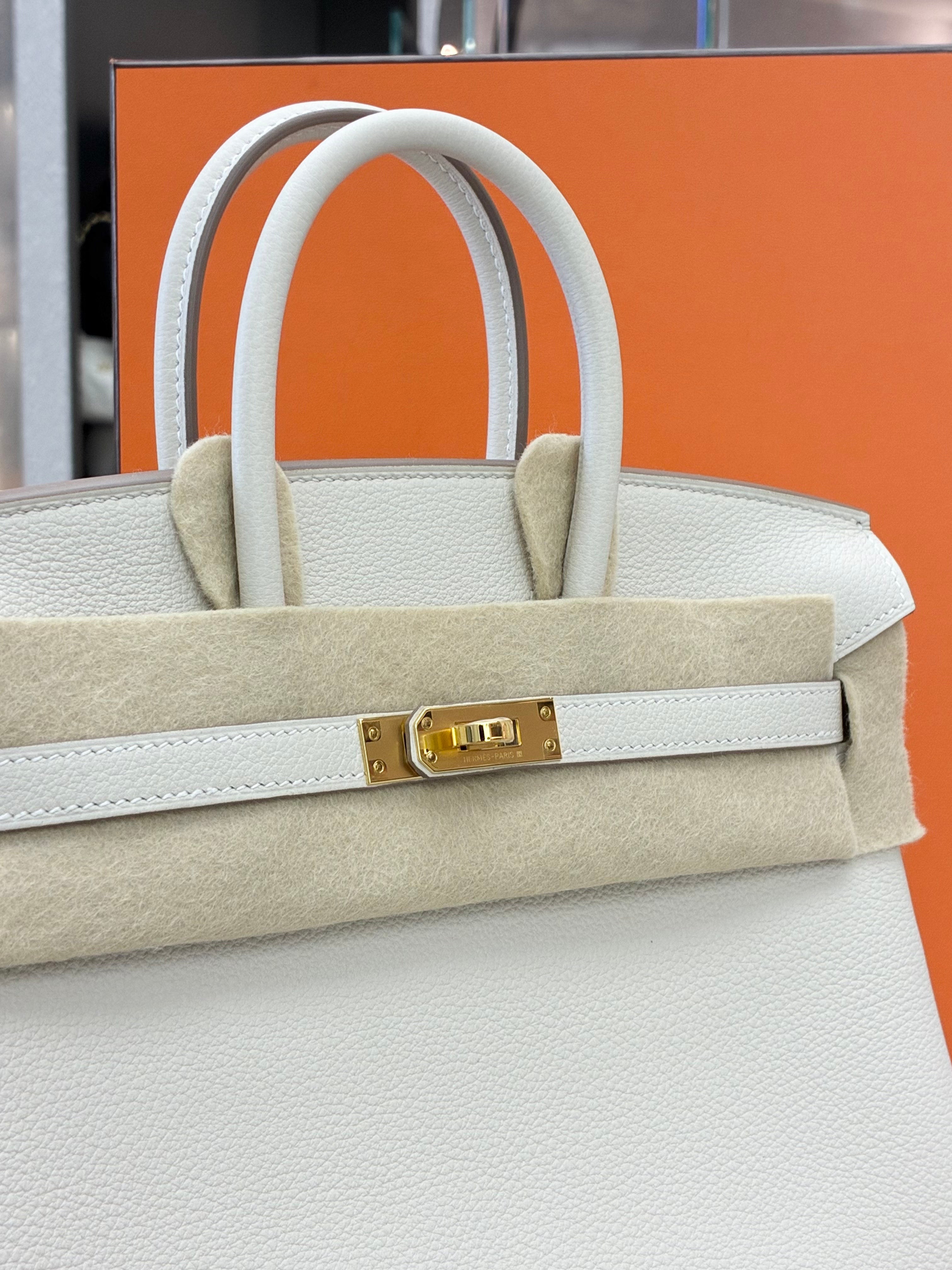 Hermès Birkin 25 handbag in Craie (chalk white)