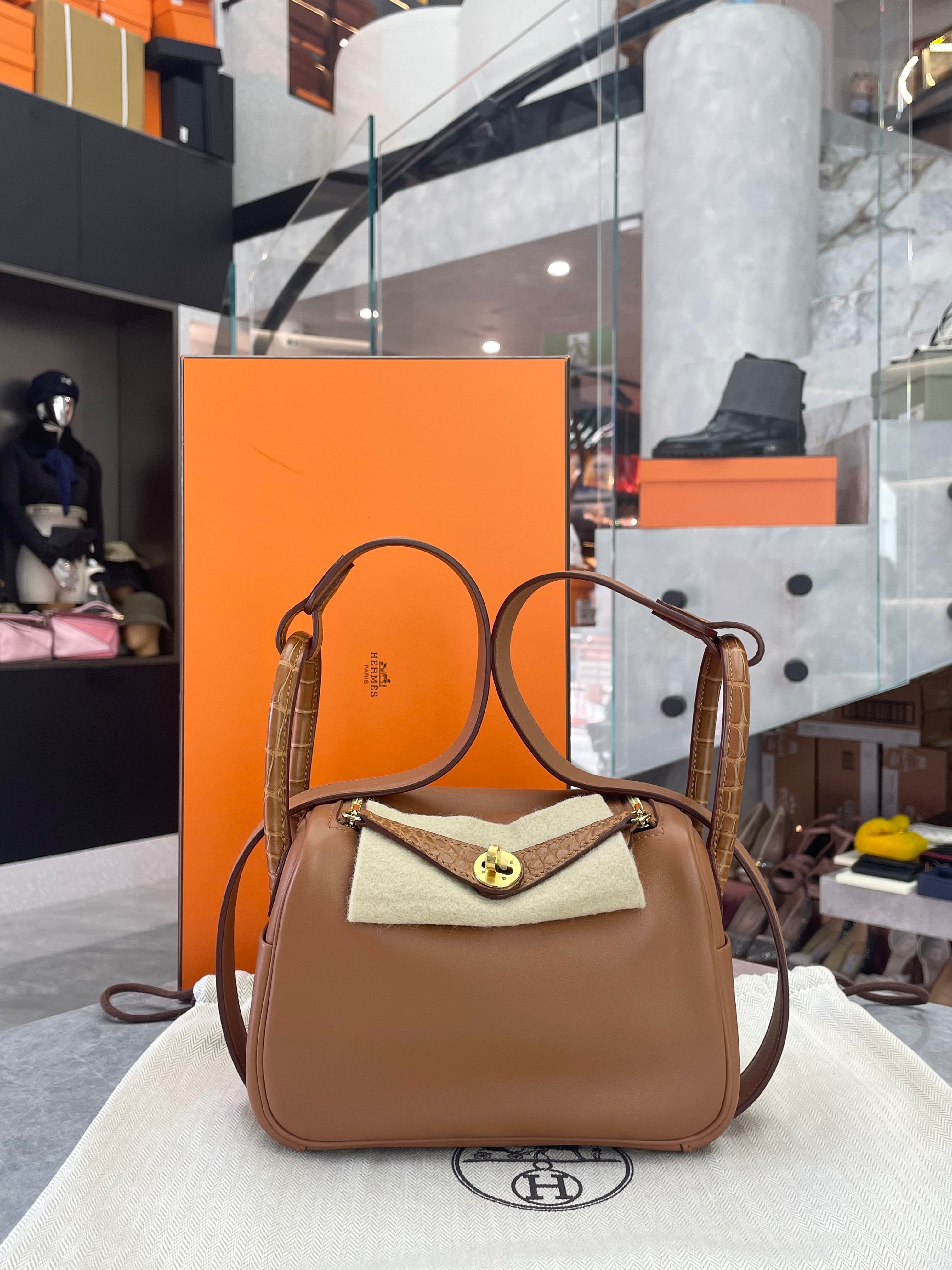 Hermes Mini Lindy Bag touch Gold GHW Swift/ Alligator matte Leather B Stamp