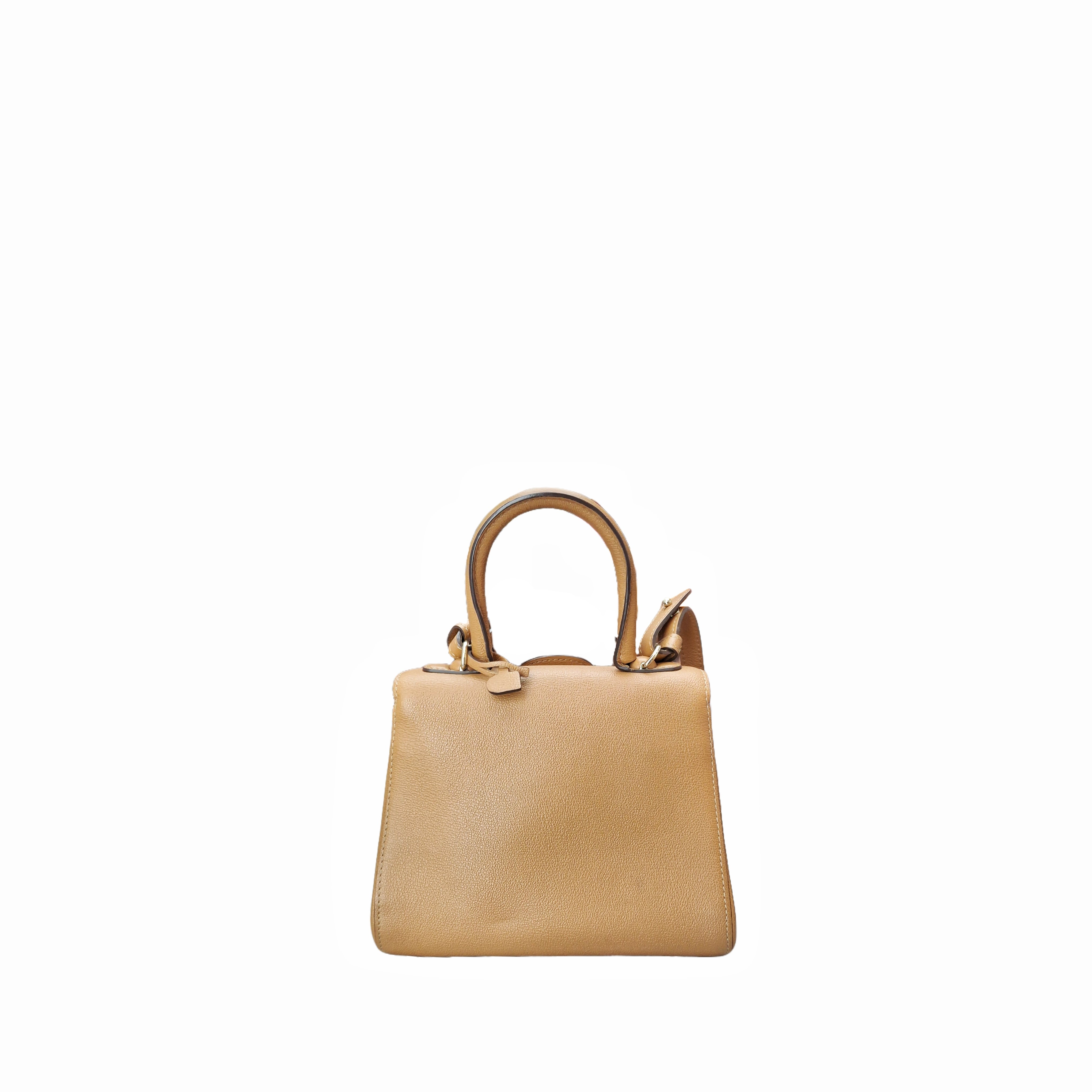 Delvaux Mini Brilliant Bag Box Calfskin in GHW Gold