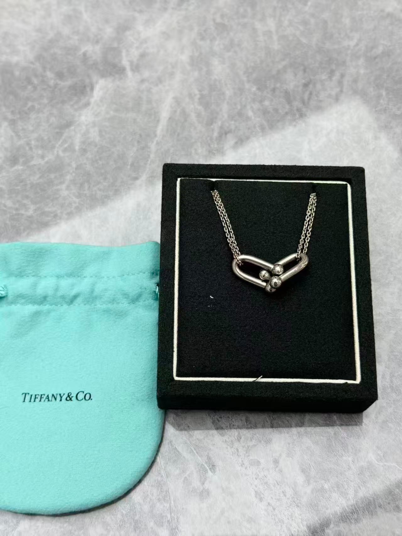 Tiffany & Co. HardWear Double Link pendant necklace crafted in sterling silver