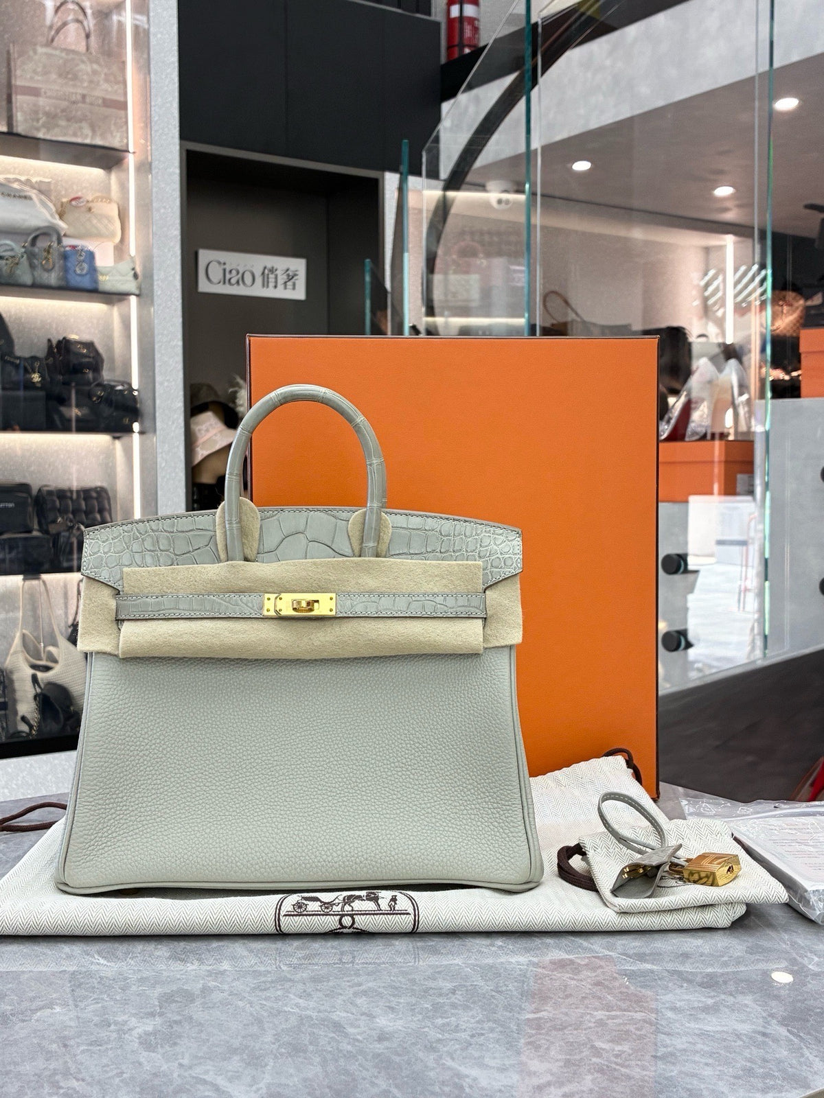 HERMÈS Birkin 25 Touch – Gris Tourterelle Togo and Matte Alligator, Gold Hardware, U Stamp, Brand New