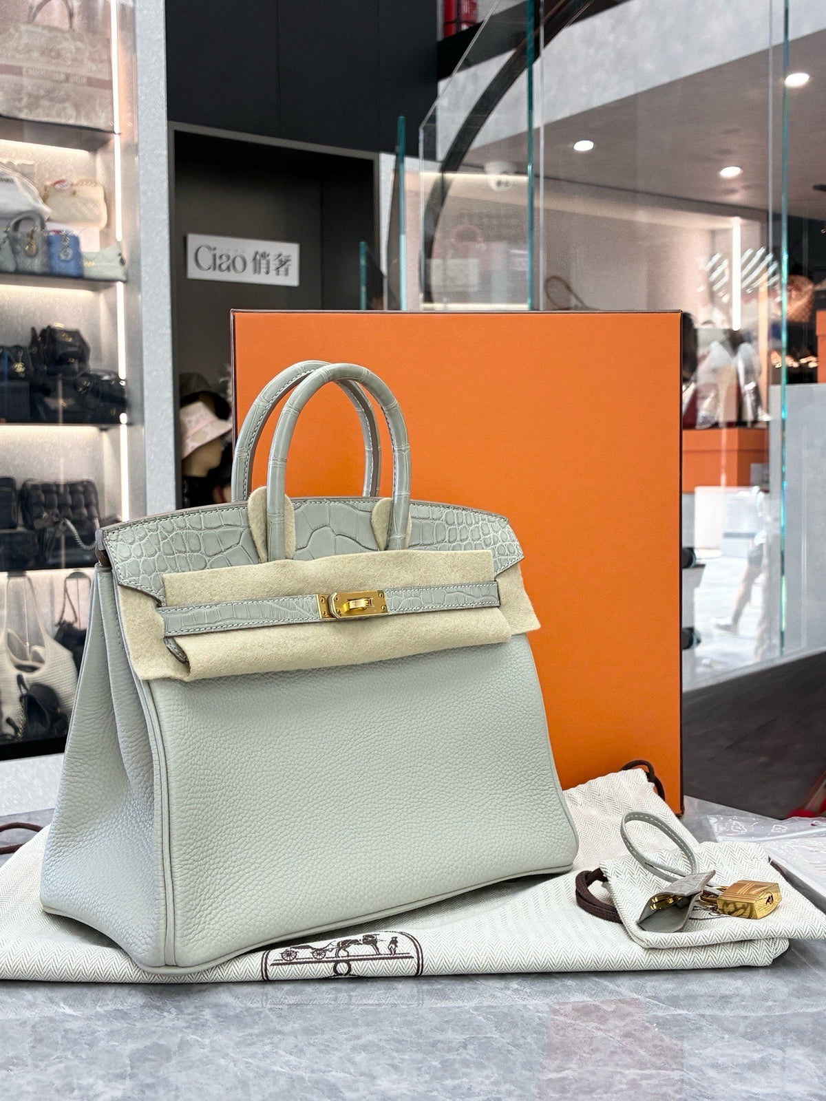 HERMÈS Birkin 25 Touch – Gris Tourterelle Togo and Matte Alligator, Gold Hardware, U Stamp, Brand New