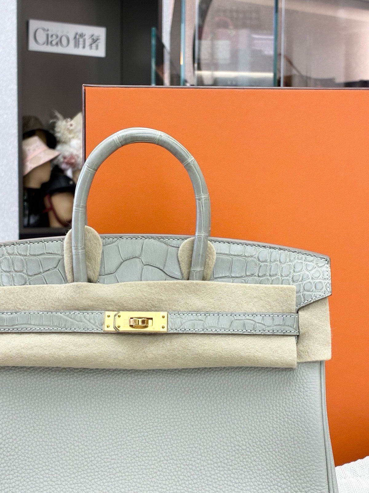 HERMÈS Birkin 25 Touch – Gris Tourterelle Togo and Matte Alligator, Gold Hardware, U Stamp, Brand New